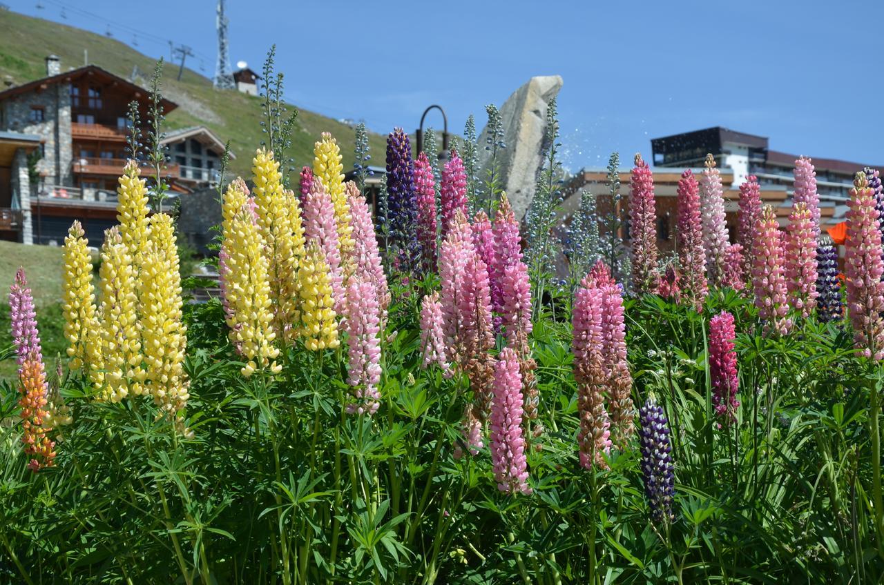Residence Santa Terra Tignes Εξωτερικό φωτογραφία